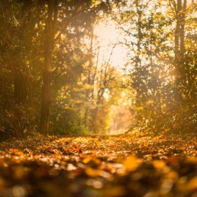 澳门·威斯尼斯wns888入口手机app下载